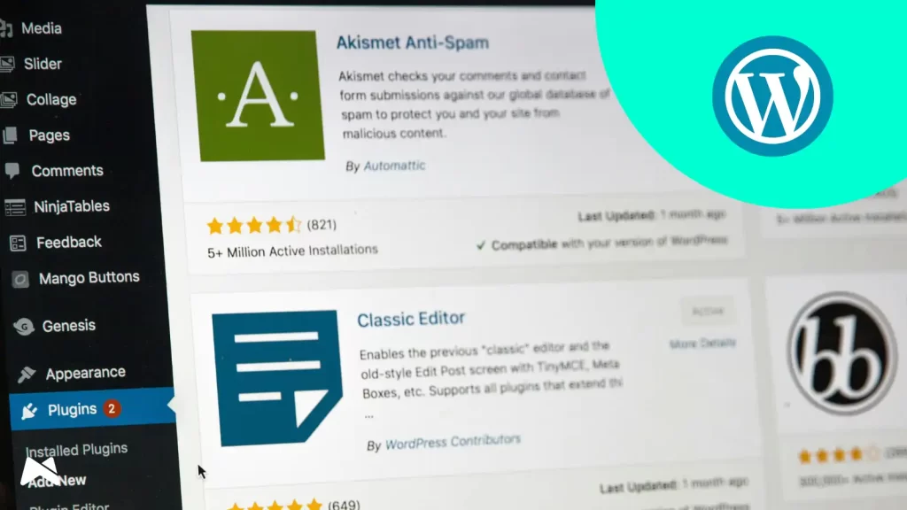 WordPress z nameščenimi vtičniki in urejanjem po meri za zahtevne spletne projekte in večjo razširljivost