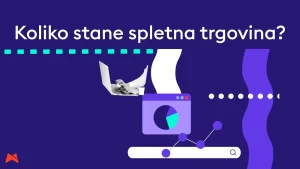 izdelava spletne trgovine cena v pripravljalni fazi