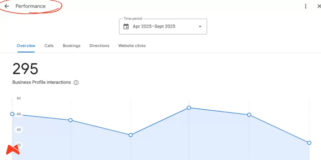 Google Business Profil Performance prikaz iskalnih fraz in interakcij