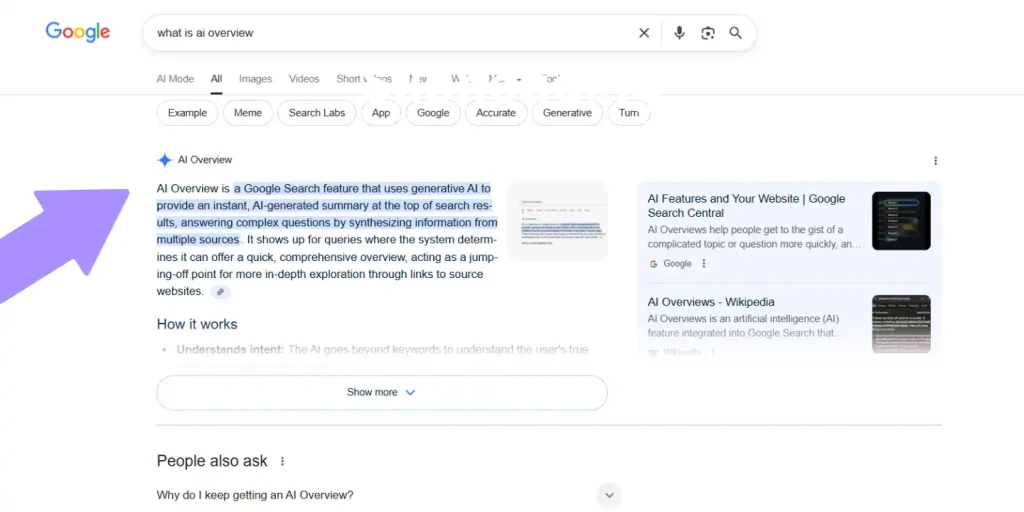 prikaz delovanja AI povzetkov v Google iskanju